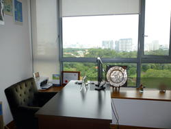 Viz At Holland (D10), Condominium #132877112